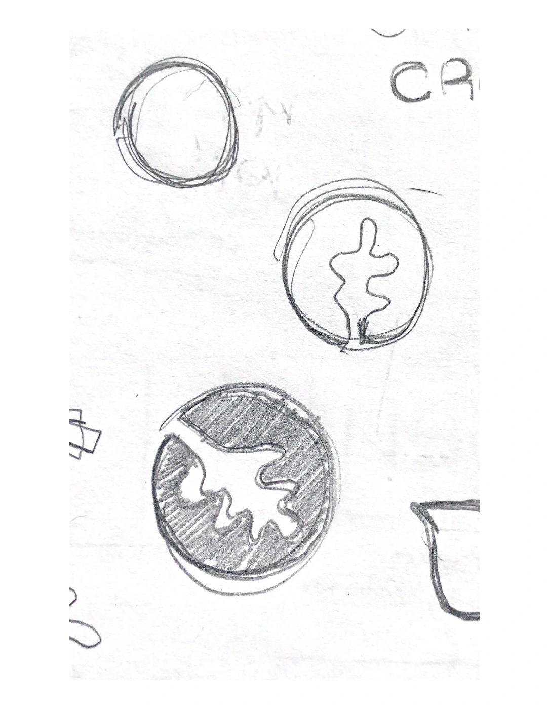Original pencil studies exploring a leaf inside circular emblems