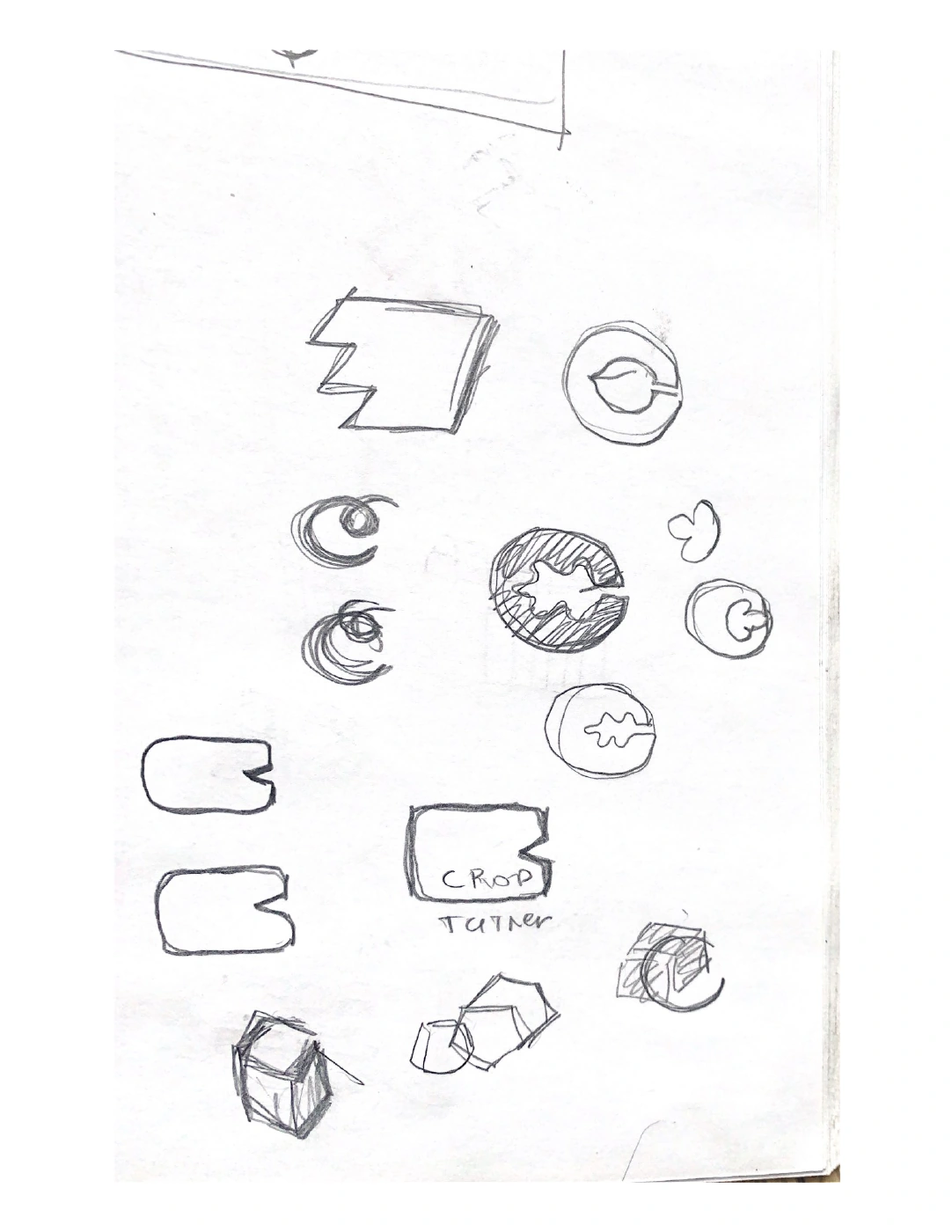 Original pencil studies of leaf symbols, boxes and Croptainer lettering