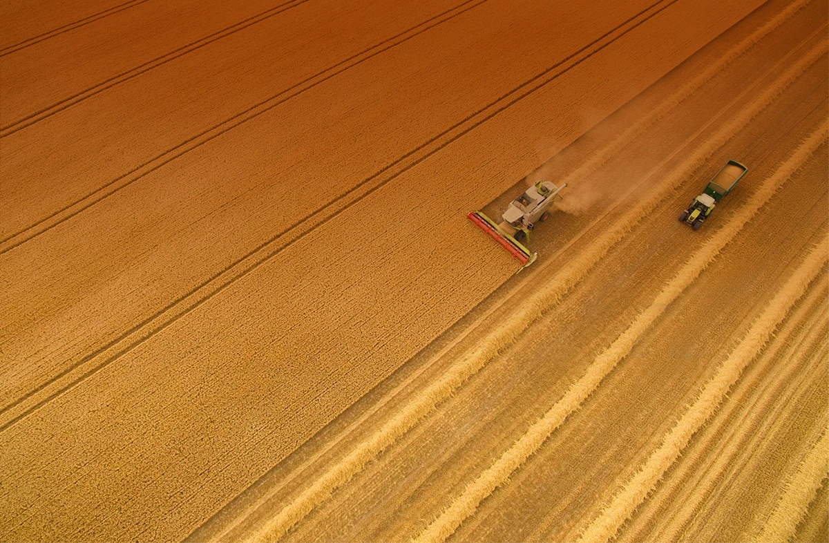 Aerial harvest photograph used in the original Goldman Group website