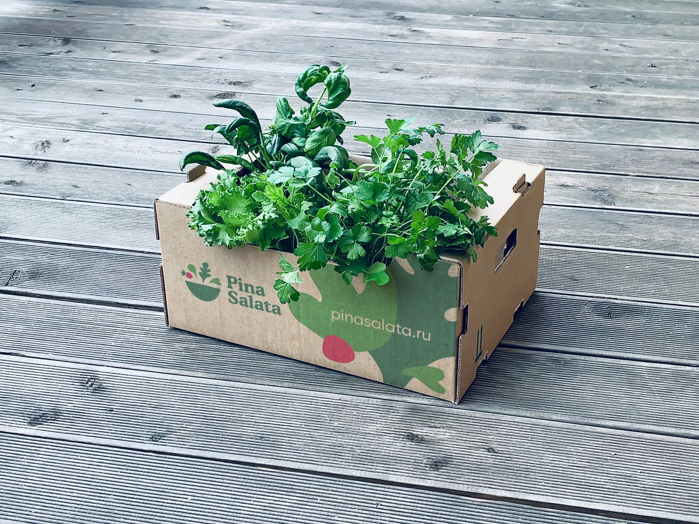 Original Pina Salata produce crate filled with fresh greens